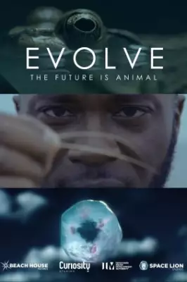 Эволюция постер